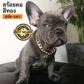 โซ่ทองสุนัข สร้อยคอแมว-หมา  Golden T G16K