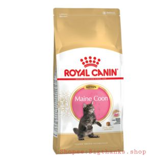 Royal Canin Kitten Maine Coon 10 kg. Exp.03/2023 อาหารแมวแบบเม็ด สำหรับลูกแมวเมนคูน