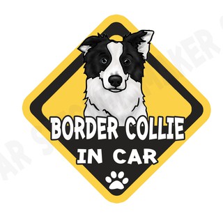 สติกเกอร์ติดรถ สติ๊กเกอร์ติดรถยนต์ สติกเกอร์หมา DGA41  Border Collie dog