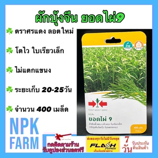 ผักซอง ศรแดง ผักบุ้งจีน ยอดไผ่9 จำนวน 400 เมล็ด/ซอง ลอตใหม่ งอกดี ลำต้นตั้งตรง แข็งแรง ใบเรียวเล็ก โตเร็ว ไม่แตกแขนง