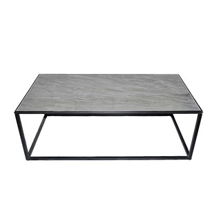 โต๊ะกลาง FONTE รุ่น DEMELO HK19199 ขนาด 120 x 60 x 42 ซม. สีเทา - ขาว
