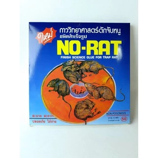Small Evting กาวดักหนู NO-RAT ยกแพ็ค3กล่อง (1กล่องมี2ชิ้น) จำนวน 3 กล่อง รวม6ถาด 🇹🇭 Made in Thailand