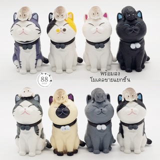 (พร้อมส่ง) โมเดลแมวหนูเกาะหัว ขายแยกชิ้น ขนาด 7 ซม.