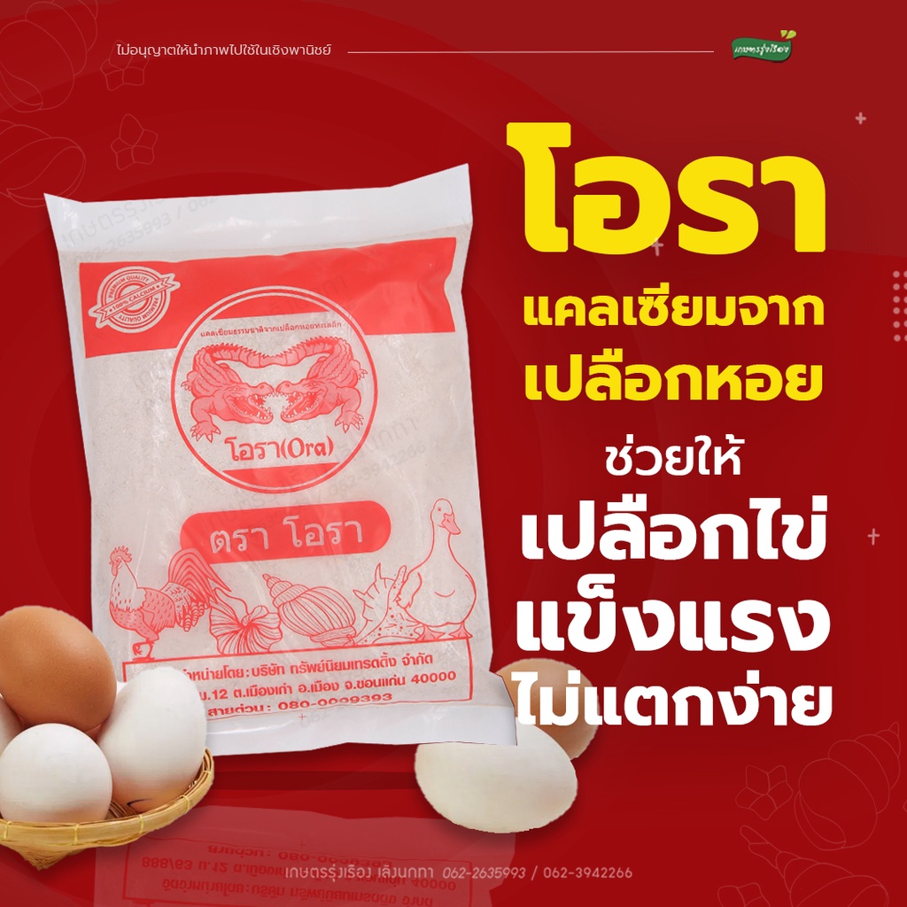 โอรา-เเคลเซียมจากเปลือกหอยทะเลลึก (เปลือกไข่เเข็งเเรง ไม่เเตกง่าย)