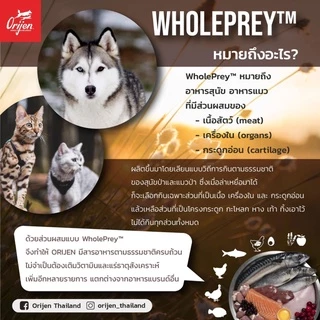 [ล็อตใหม่] Orijen อาหารแมว โอริเจน เกรนฟรี โฮลิสติก ลูกแมว Original Fit Trim Six Fish Kitten Guardian 8 ส่งด่วน 1.8 kg