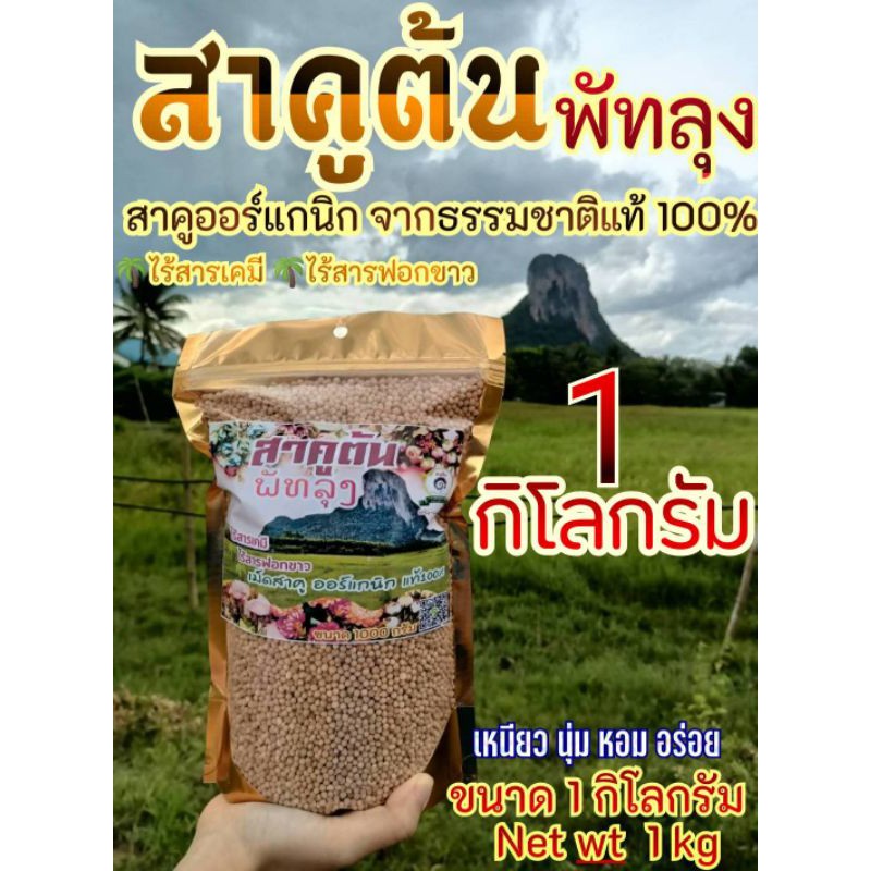 สาคูต้น เม็ดสาคู แป้งสาคูพัทลุง ขนาด 1 กิโลกรัม ออร์แกนนิคแท้ 100%