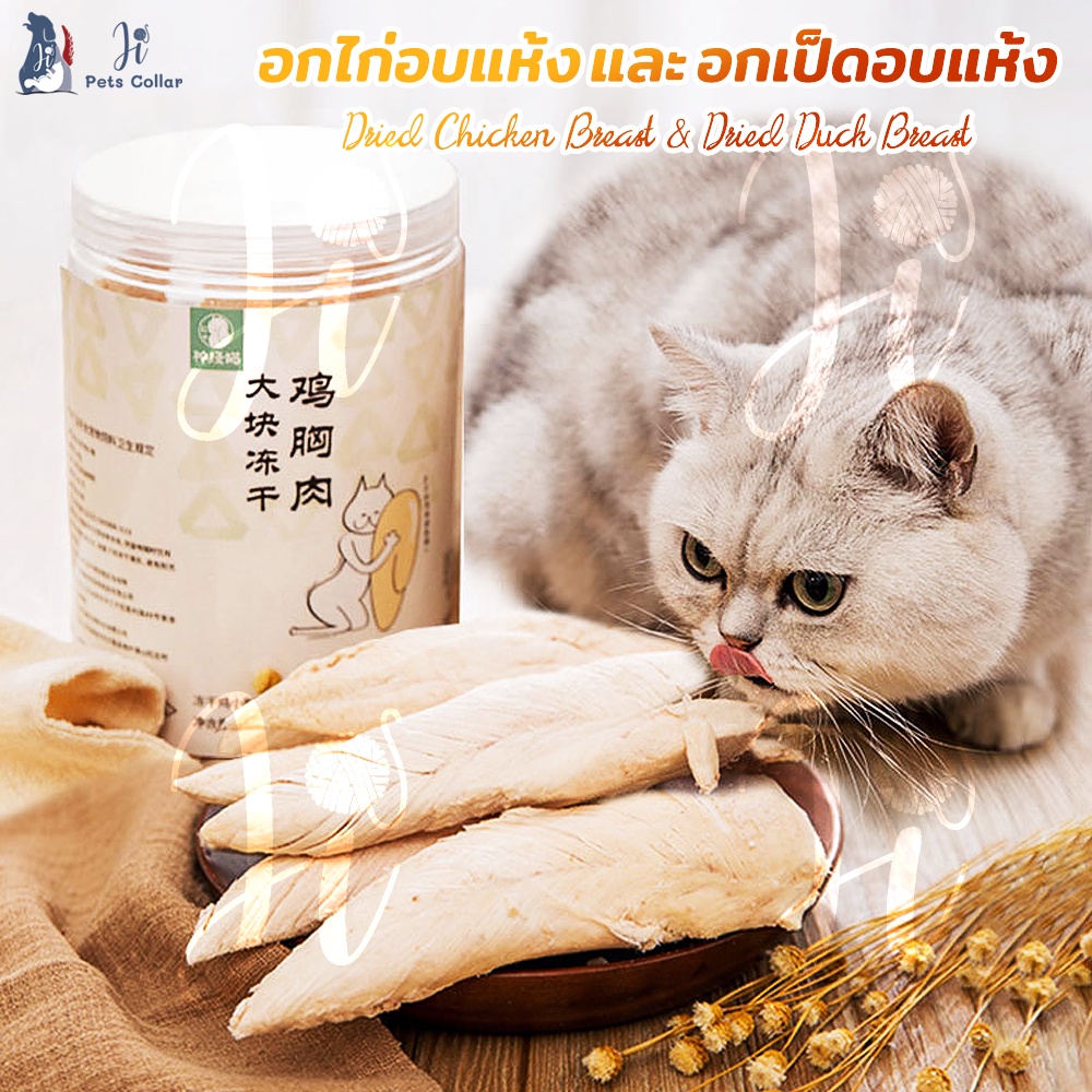 ขนมแมว อกไก่อบแห้ง อกเป็ดอบแห้ง ช่วยเจริญอาหาร ขัดฟันแมว ji pets collar
