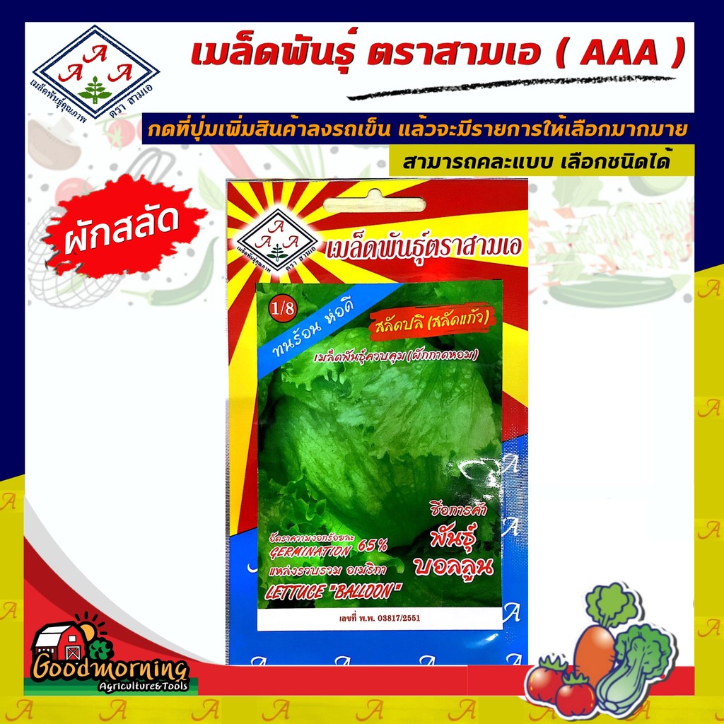 AAA 🇹🇭 ผักซอง  A1/8# ผักสลัดปลี สลัดแก้ว  ตรา AAA ผักซอง เมล็ดพันธุ์ผัก 3เอ ผักสวนครัว เมล็ดพันธุ์