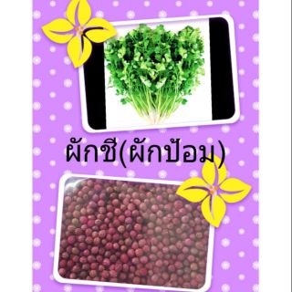 ผักชี(ผักป้อม) ขนาด 500กรัม