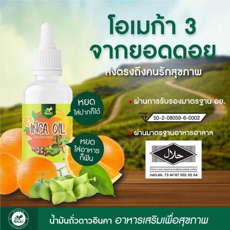 น้ำมันถั่ว ดาวอินคาออย์ (สกัดเย็น) ขนาด 40 ml. แบบหยด(ซื้อ 3 ขวดขึ้นไปมีราคาส่ง)