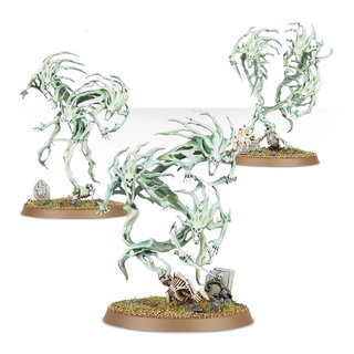 Warhammer AOS : Nighthaunt : Spirit Hosts