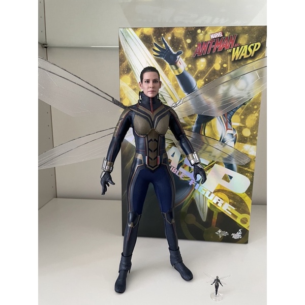 The Wasp (Hot Toys MMS498) from ANT-MAN AND THE WASP