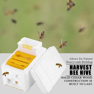 UHomee Harvest Bee Hive อุปกรณ์เครื่องมือสําหรับใช้ในการเลี้ยงผึ้ง