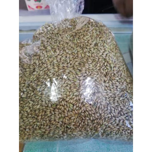 เมล็ดพันธุ์หญ้ารูซี่1กิโล