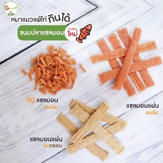 Get Well แซลมอนแผ่นอบกรอบ ขนมหมา ขนมแมว แพ้ไก่ แพ้กลูเตน กินได้ ไม่ปรุงรส