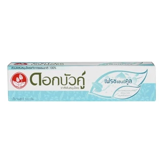 Twin ดอกบัวคู่ ยาสีฟันสมุนไพร เฟรช แอนด์ คลู 100 กรัม