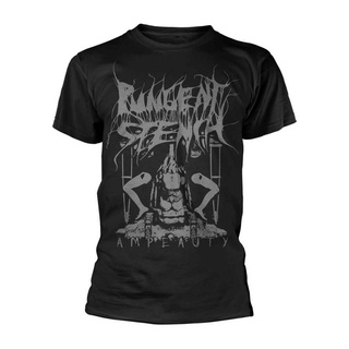 ขายดี เสื้อยืดคลาสสิก พิมพ์ลาย Pungent Stench Ampeauty - LIhike48HCdffb00สามารถปรับแต่งได้