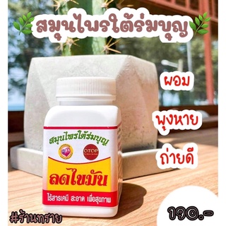 ใต้ร่ม สมุนไพรไทยแท้ ลดพุง ไข้มันต้องลองถึงจะรู้ว่าดีแค่ไหน