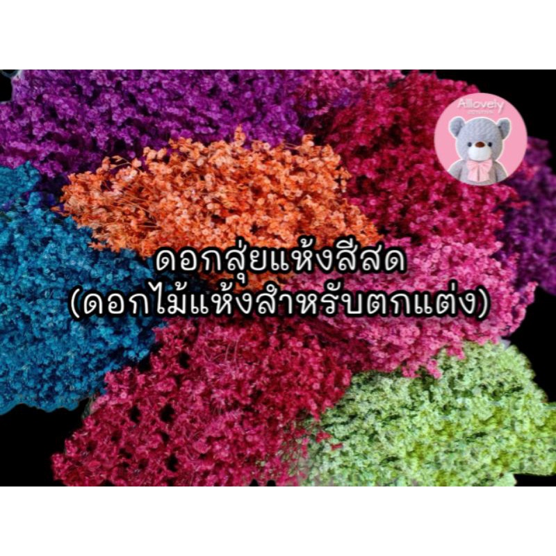 ดอกไม้แห้ง ดอกสุ่ยแห้ง สีสด มีกริตเตอร์
