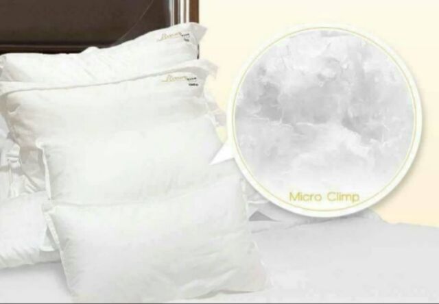 หมอนโรงแรม 6 ดาว  ขนาดมาตรฐาน (19