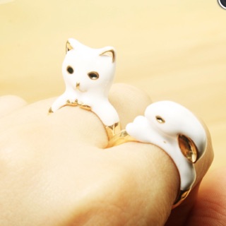 Kitty bunny rings