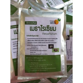 เมธาไรเซียม กำจัดด้วง ปลวกทุกชนิด ชนิดผงพร้อมใช้ ขนาด 100 กรัม
