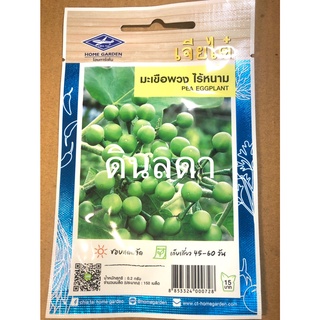 มะเขือพวง ไร้หนาม เมล็ดพันธุ์เจียไต๋  สินค้าพร้อมส่ง