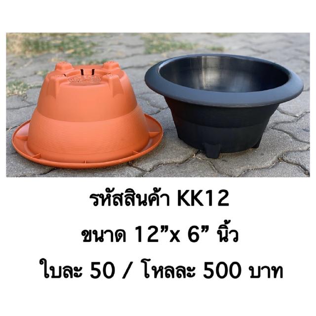 KK12 กระถางต้นไม้แคคตัส ขนาด 12 x 6 นิ้ว 1 ใบ