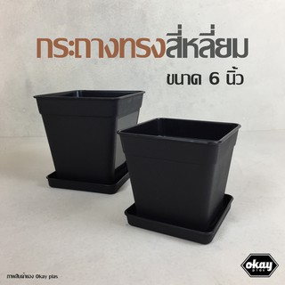 ซื้อ 1 แถม 1  Okay plas กระถางสี่เหลี่ยม 6 นิ้ว พร้อมจานรอง