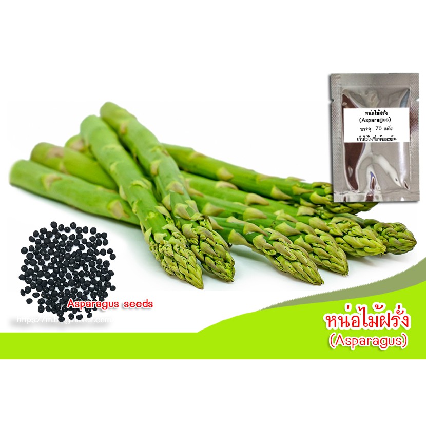 เมล็ดพันธุ์หน่อไม้ฝรั่งหน่อไม้ฝรั่ง (Asparagus) บรรจุ 50 เมล็ด