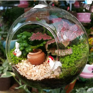 ตัวปัก​ สัตว์จิ๋ว สวนถาด สวนจิ๋ว สวนขวด
