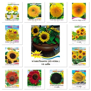 เมล็ดพันธุ์ ทานตะวัน (Sun Flower Seed) มีให้เลือก 13 แบบค่ะ เช่น ทานตะวันแคระ ทานตะวันยักษ์ ทานตะวันแดง ทานตะวันแท็ดดี้แบร์
