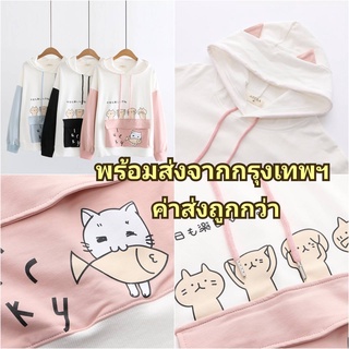 เสื้อกันหนาว เสื้อฮู้ด ลายแมวน่ารัก พร้อมส่ง