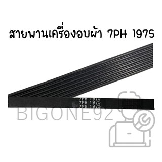 สายพานเครื่องอบผ้า เบอร์ 1975 (7ร่อง) สำหรับเครื่องอบผ้า Electrolux