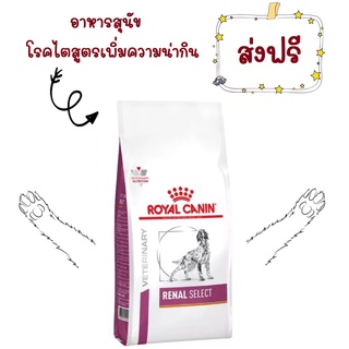 -ส่งฟรี- Royal Canin Renal Select Dog 2 kg อาหารสุนัขโรคไตสูตรเพิ่มความน่ากินขนาด 2 กิโลกรัม