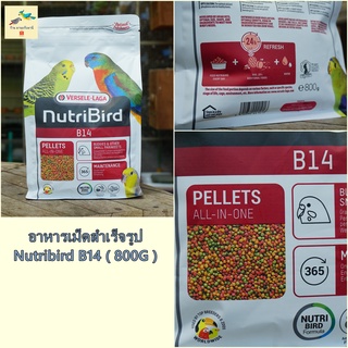 อาหารนก สำเร็จรูป Nutribird B14 ( 800g )