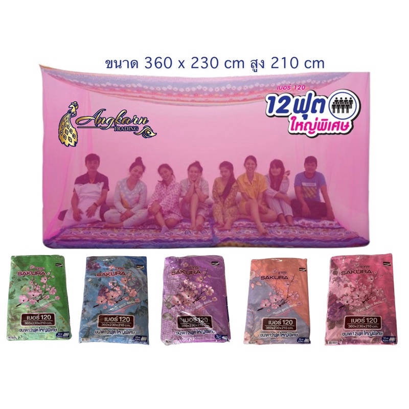 มุ้งซากุระ 12 ฟุต+ มุ้งหลังคาผ้าโพลี