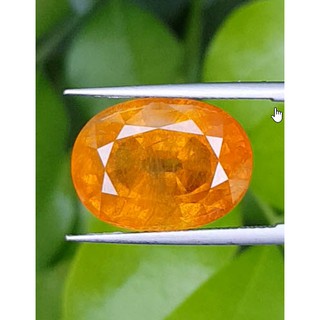 พลอยบุษราคัม (Yellow Sapphire) 19.09 กะรัต พร้อม ใบเซอร์ (Certified) SI