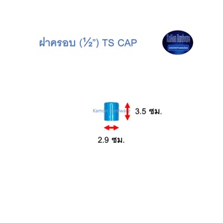 ฝาครอบ ท่อน้ำไทย (½”) Thai Pipe TS Cap ฟ้า 1/2