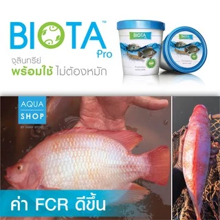 จุลินทรีย์ BIOTA Pro ผสมอาหาร กุ้ง/ปลากินดี แข็งแรง โตไว กำไรงาม