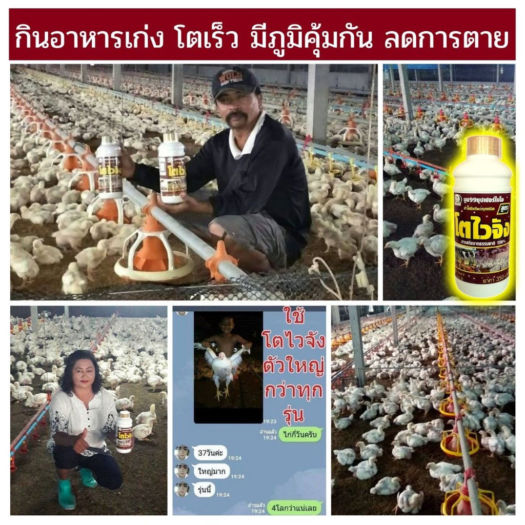 🆓ส่งฟรีไม่ใช้โค๊ด โตไวจัง ไคโตซาน วิตามันเร่งโต อาหารเสริมสำหรับสัตว์ทุกชนิด แข็งแรง โตเร็ว ลดอัตราการตายได้ดี - รูปที่ 3