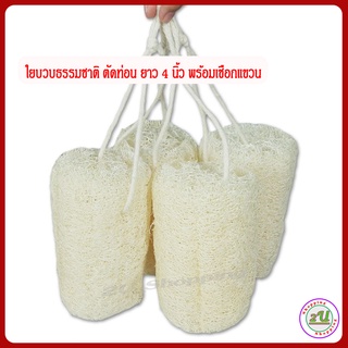 4 ชิ้น ใยบวบขัดผิว ใยขัดตัว บวบธรรมชาติตัดท่อน ยาว 4 นิ้ว พร้อมเชือกห้อย / Natural Loofah Sponge with hanger พร้อมส่ง