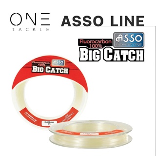 อุปกรณ์ตกปลา สายเอ็น สายตกปลา แท้จาก Asso สายเอ็น รุ่น  BIG CATCH FLUORO 50YDS