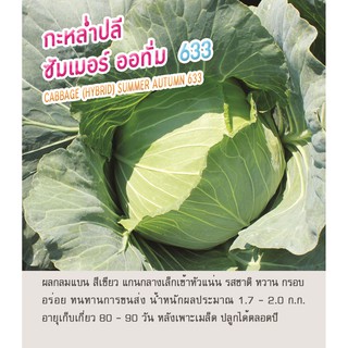 เมล็ดพันธุ์ กะหล่ำปลี ซัมเมอร์ ออทั่ม 633 - Cabbage (Hybrid) Summer Autumn ตราดอกแตง เมล็ดผัก คุณภาพ "เพื่อนเกษตรกร"