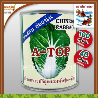 เมล็ดพันธุ์ ผักกาดขาวปลี เอ-ท็อป A-TOP F1 (40, 100 กรัม) เมล็ดผักกาดขาวปลี เมล็ดพันธุ์ผักสวนครัว ตราปลาทอง