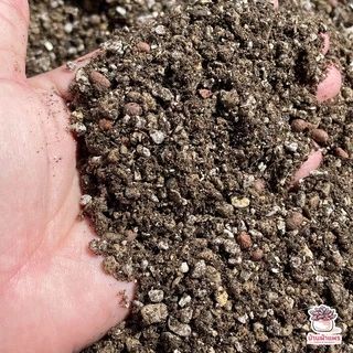 [ 1 กก. ] ดินผสมพร้อมปลูกไม้อวบน้ำ กุหลาบหิน กระบองเพชร Cactus&Succulent