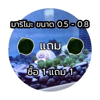 มาริโมะ ขนาด0.5-0.8 ซื้อ1แถม1 ก่อนกดสั่งซื้อช่วยอ่านรายละเอียดก่อนนะคะ🥰