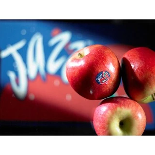 แอปเปิ้ลแจ๊ส (6ลูก) (USA/NZL) ~ลดพิเศษ~ Jazz Apple หวาน กรอบ อร่อย ! ผลไม้ต่างประเทศ ผลไม้พรีเมี่ยม ผลไม้เดลิเวอรี่