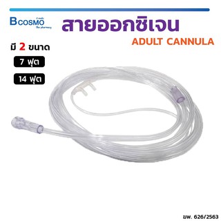 [[ พร้อมส่ง!! ]] สายออกซิเจน ADULT CANNULA ปลอดภัย / Bcosmo the Pharmacy