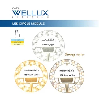WELLUX แผงไฟแม่เหล็ก 3 แสง 36W แสงขาว แสงวอร์ม แสงคลู ทดแทนหลอดนีออนกลม LED CIRCLE MODULE 3 STEP